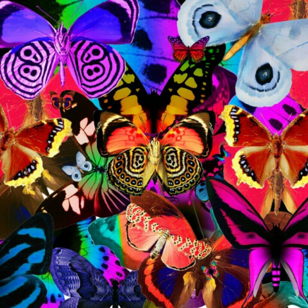 I Love Color!💕💜💕